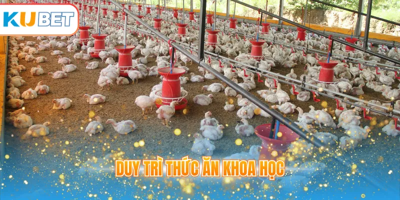 Duy trì thức ăn khoa học
